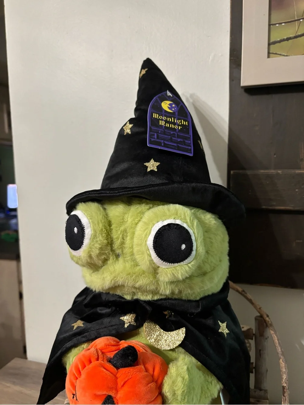 NEW VIRAL MOONLIGHT MANOR WIZARD FROG